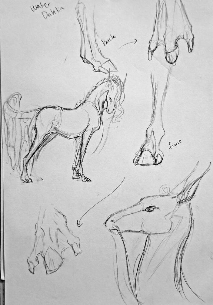 Creature Design: Dahlin (1st Draft)